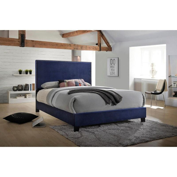 Soka Blue Bed Select Your Size (Limited Quantities!)