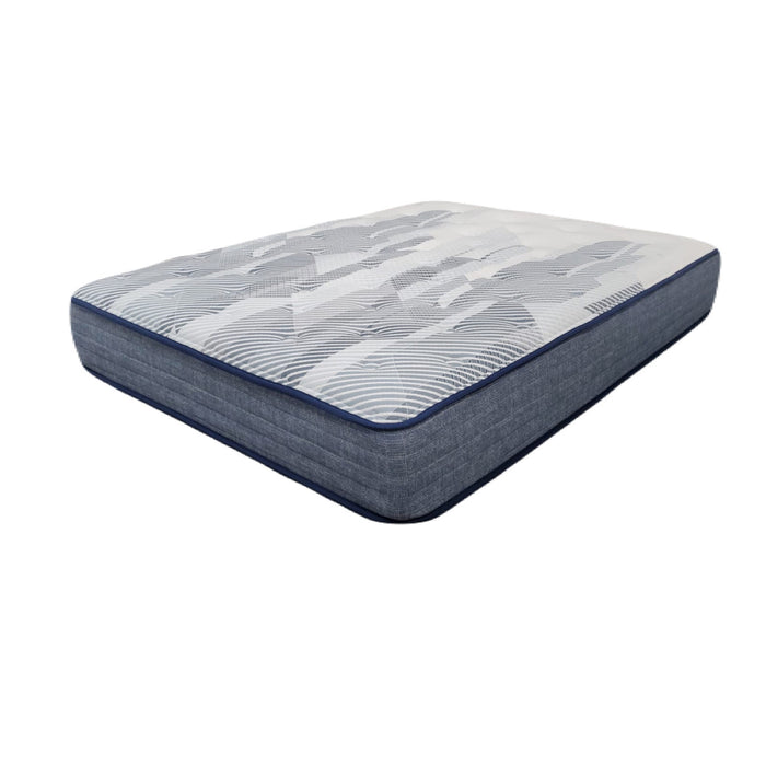 Charlotte 12" Mattress Choose Your Size