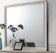 Multi-Purpose Mirror. Many styles and colors to choose from!!
